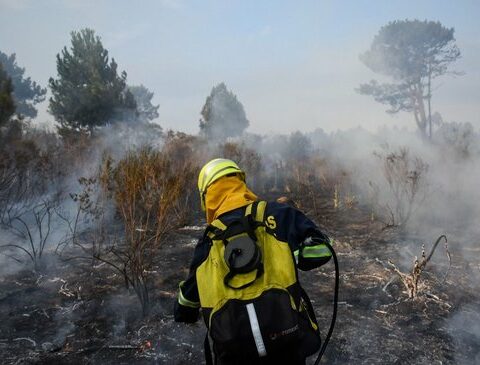 Artificial intelligence, airplanes and US$ 3.5 million to prevent fires