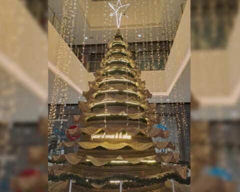 Artisans from Sincelejo made the largest arrow cane Christmas tree in the world