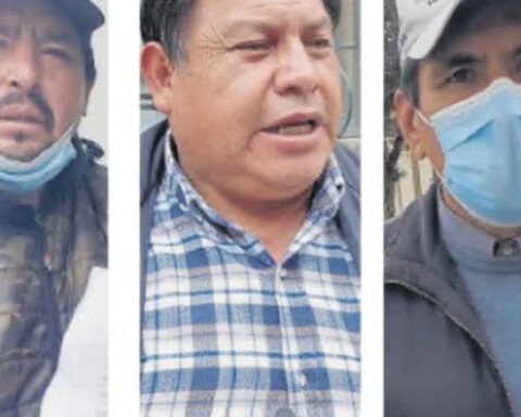 Authorities agree that the democratic order should prevail