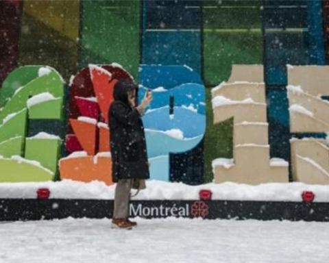 COP15 is getting closer to reaching a consensus to save biodiversity