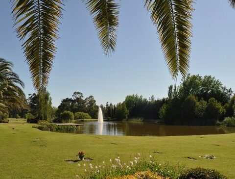 Canelones cemeteries, on edge against the mayor's office for a project that creates a "legal excess"