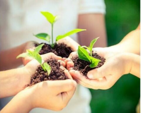 Colombia received US$1 billion from the World Bank for climate actions