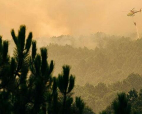 Colombia, the first country in the region to join CFLI