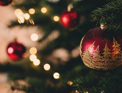 Commercial expectations for the Christmas harvest deteriorate