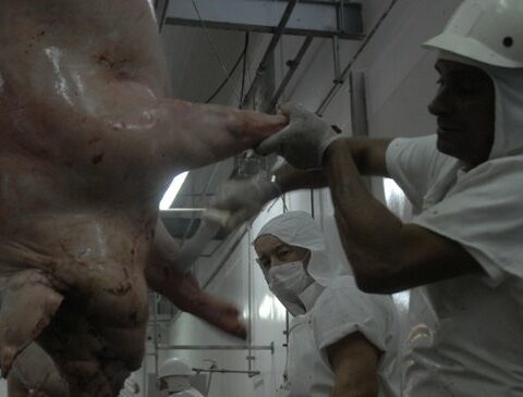 Creditors of La Constancia: justice rejected the amparo that they presented and advances in criminal complaint