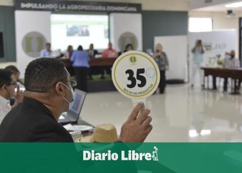 Customs collects RD$106,184,276.13 in public auctions