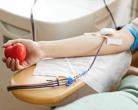 "December Solidarity" urges blood donation