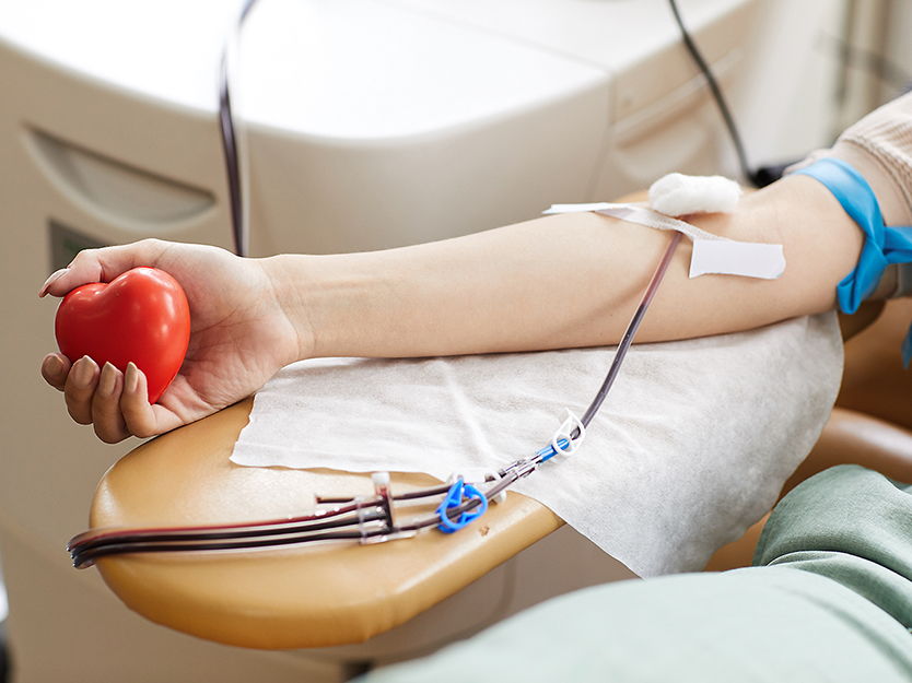 "December Solidarity" urges blood donation