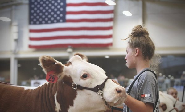 Decline in US cattle production may help Uruguay