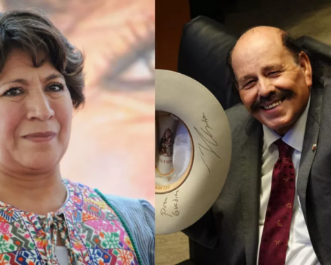 Delfina Gómez and Armando Guadiana leave the Senate to compete in 2023