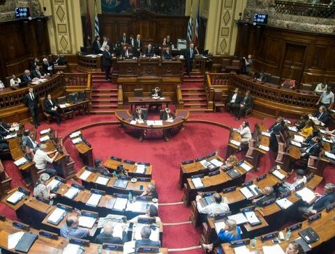 Deputies held a solidarity session with Palestine and Zubía and Schipani were surprised "by virulence" against Israel