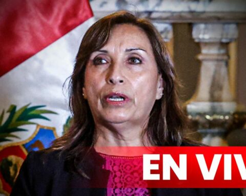 Dina Boluarte LIVE: President starts conference for protests in the interior of the country