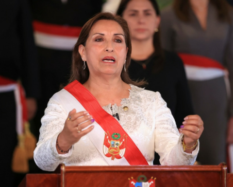 Dina Boluarte: President asked for political maturity to promote the advancement of elections