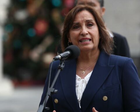 Dina Boluarte for protests: "To all of Peru, please, I ask for calm and tranquility"
