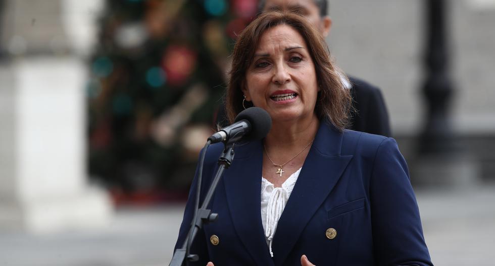 Dina Boluarte for protests: "To all of Peru, please, I ask for calm and tranquility"