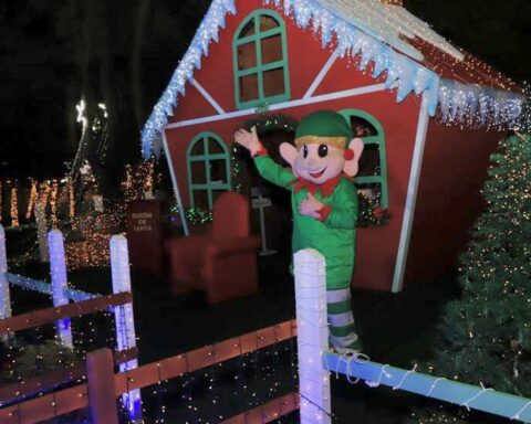 Discover the agenda of "Villa Navidad"