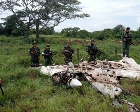 FANB has seized more than 40 thousand kilograms of drugs in 2022