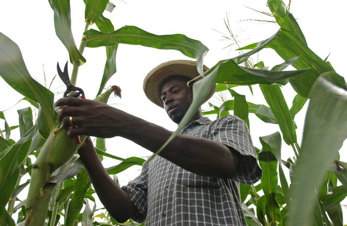 FAO promotes family farming in Latin America in the face of the food crisis