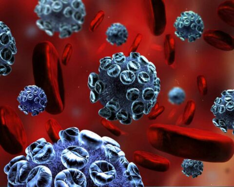 Los factores para el retorno de enfermedades infecciosas están reunidos