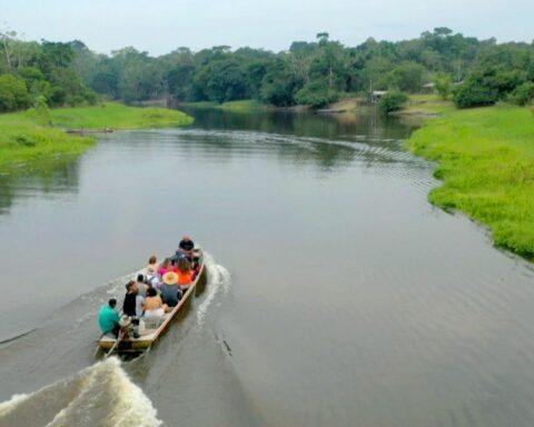 Farinha, the star of Acre is the theme of today's Caminhos da Reportagem