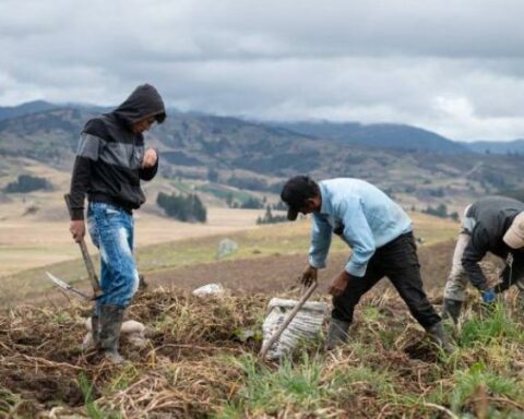 Farmers will have priority in access to agricultural credits