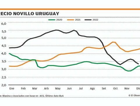 Few businesses after new price drop for cattle