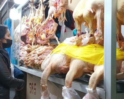 Fresh turkey in Huancayo markets reaches S/18 and frozen at S/15, S/16 and S/16.90
