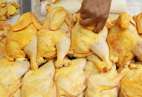 Desde hoy comienza la venta de un millón y medio de pollos