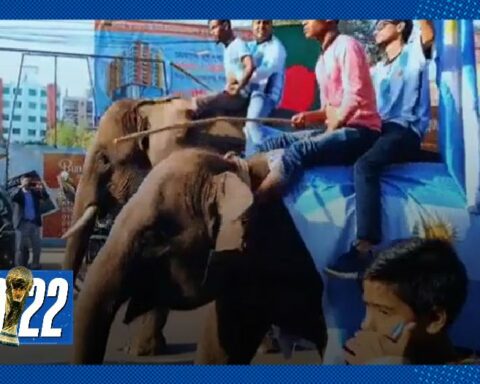 Conoce el país asiático que “ganó” la copa del mundo junto a Argentina