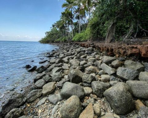 Global agreement on biodiversity: these are its 10 main challenges