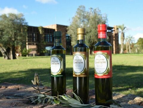 Gourmet walk: tourist visits reopen in Colinas de Garzón