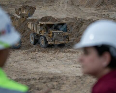 Government gambles to create a state mining company