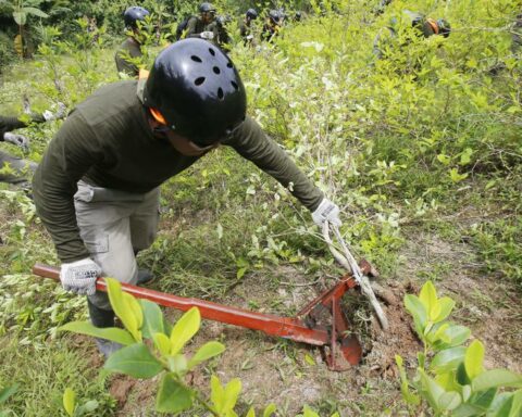 Government seeks to strengthen fight against drug trafficking after months of mistakes