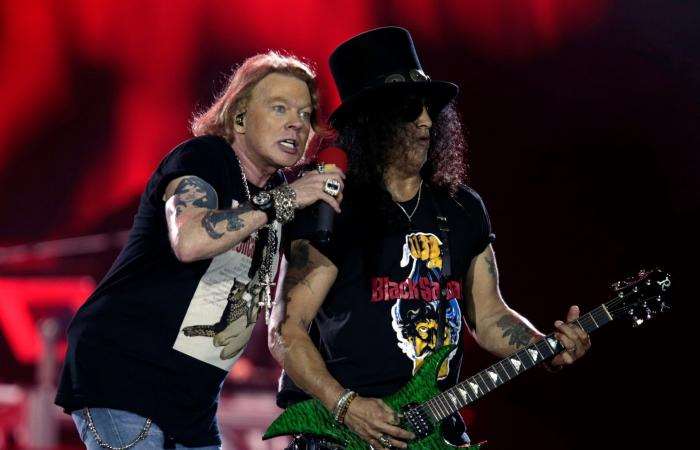 Guns N' Roses gang sues Texas gun store for using their name