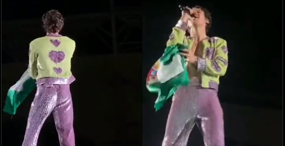 Harry Styles waves the Santa Cruz flag during his second night of concert in Brazil