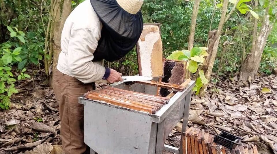 Honey, a profitable trade for Cuban beekeepers when the State deigns to pay them