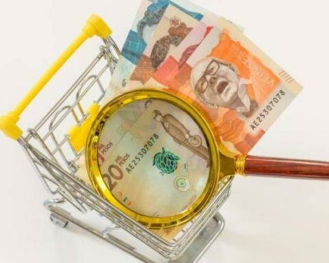 How the Government would use the price deindexation of the minimum