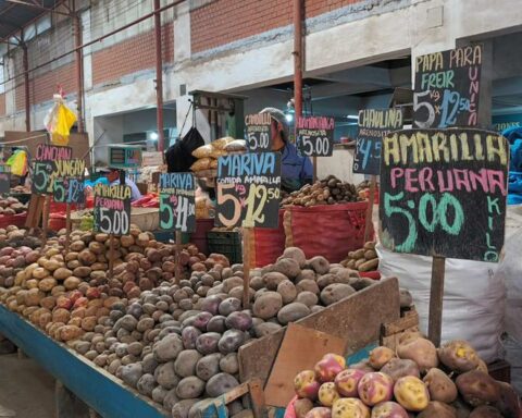 Huancayo: Potato and vegetable prices rise due to the drought and the cost of the basic family basket increases
