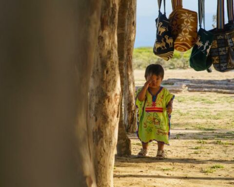 In Colombia, a child dies every day because of hunger