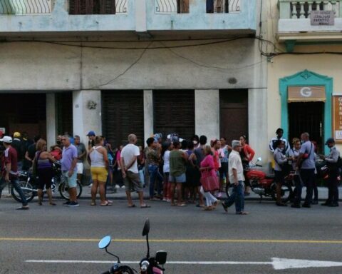 In a queue to buy pork in Cuba "600 people left ahead"