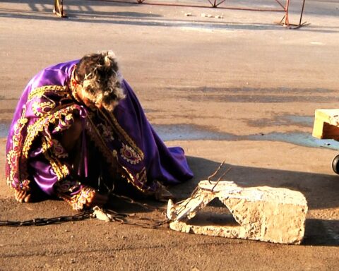 En tiempos difíciles, a pedir a San Lázaro