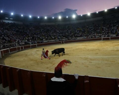 In the end, what will happen: the Bullfighting Fair of the Cali Fair will continue or not