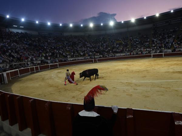 In the end, what will happen: the Bullfighting Fair of the Cali Fair will continue or not