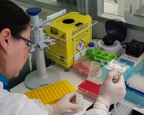 Institute will organize a paternity test campaign in São Paulo