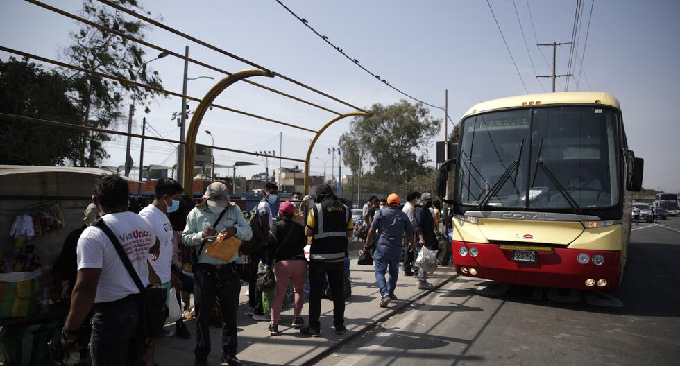 Interprovincial transport companies lose S/ 50 million daily due to road blockades