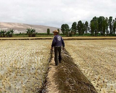 Lack of rain in the Sierra: which regions are affected and what is Senamhi's forecast?