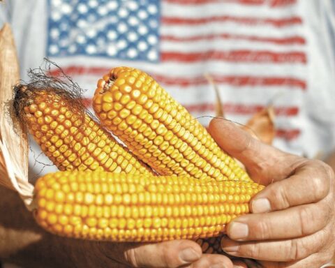 Mexico and the US hope to finalize an agreement on the corn dispute in January