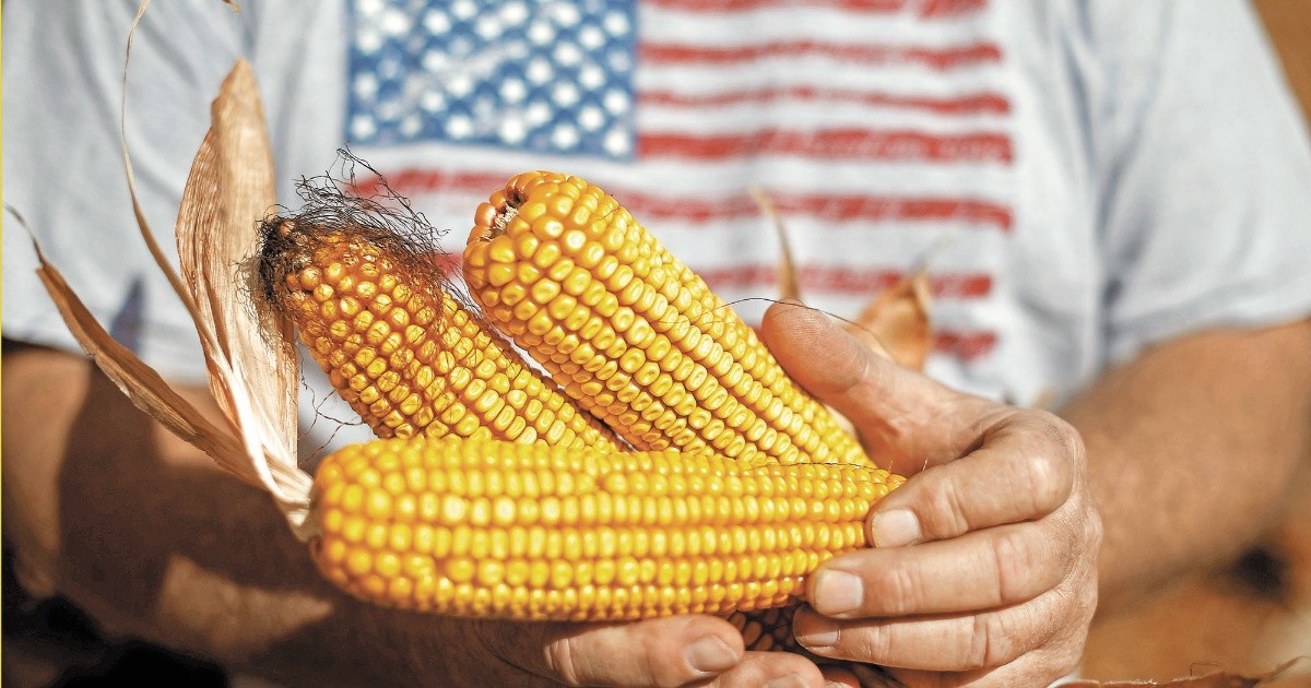 Mexico and the US hope to finalize an agreement on the corn dispute in January