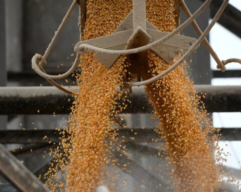 Mexico soon sees an agreement with the US to resolve a lawsuit over corn