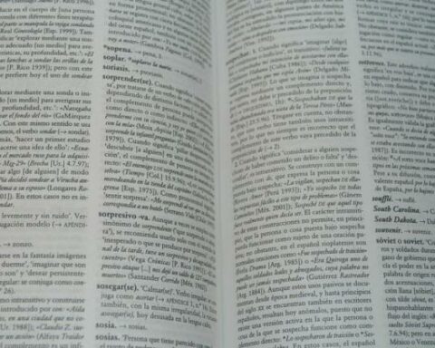 'Micromachismo', 'video player', new Spanish words